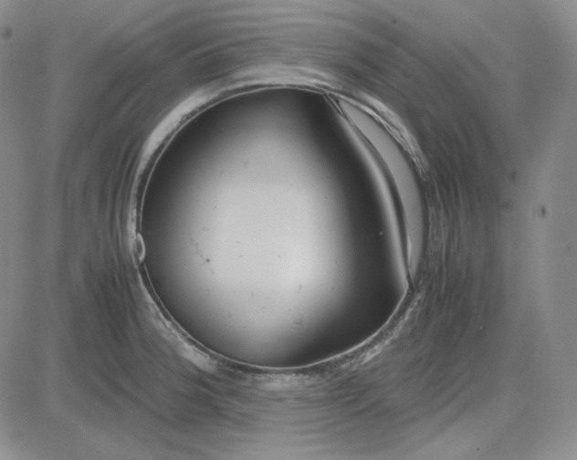 X0000083621188200702260945