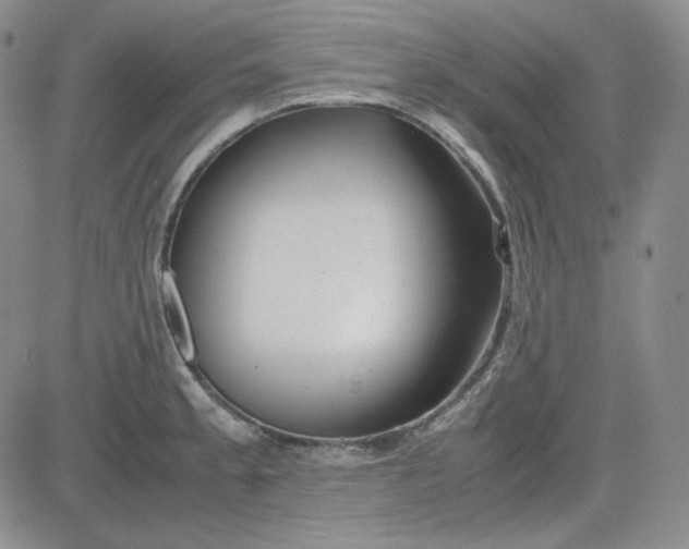 X0000083621189200702260945