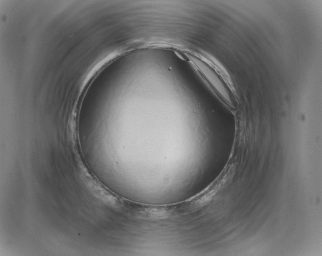 X0000083621190200702260945