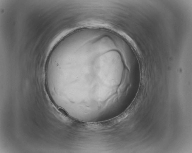 X0000083621191200702260945