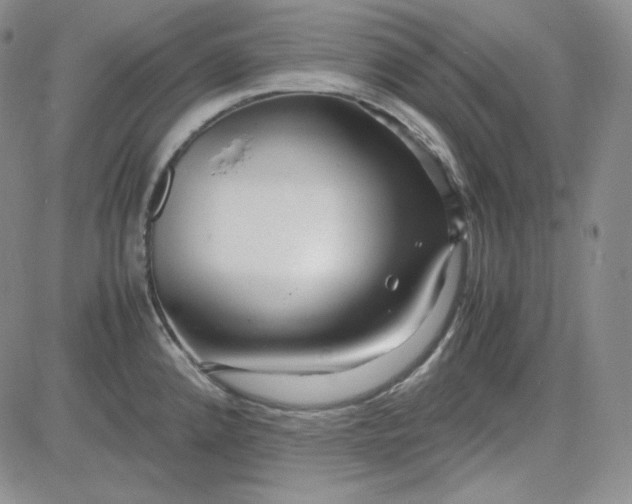 X0000083621192200702260945