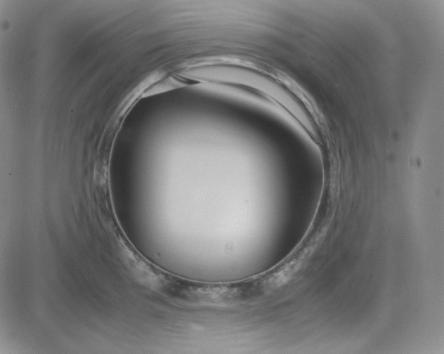 X0000083621193200702260945