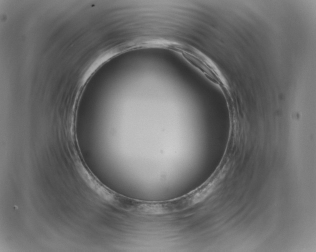 X0000083621194200702260945