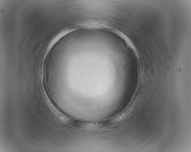 X0000083621195200702260945