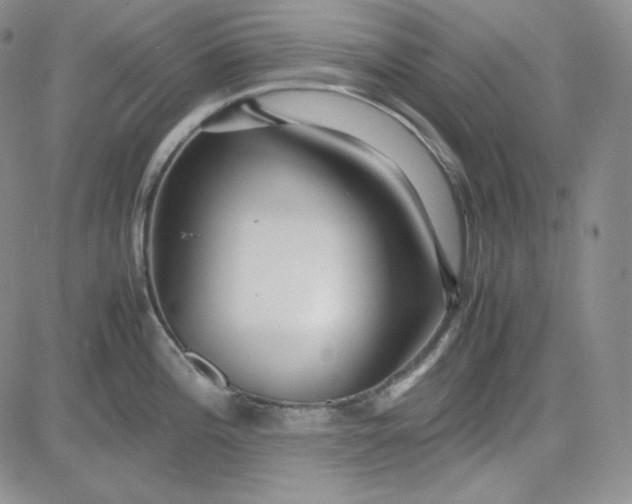 X0000083621196200702260945