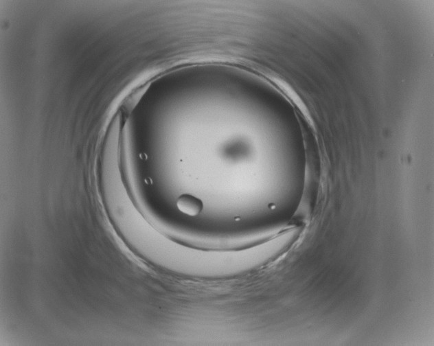 X0000083621197200702260945