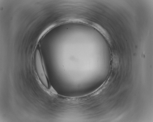 X0000083621198200702260945