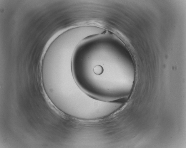 X0000083621200200702260945