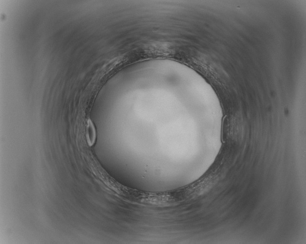 X0000083621201200702260944