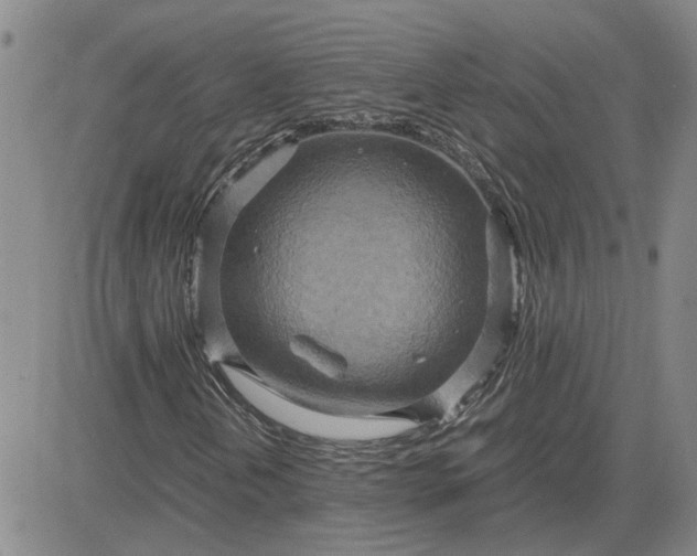 X0000083621202200702260944