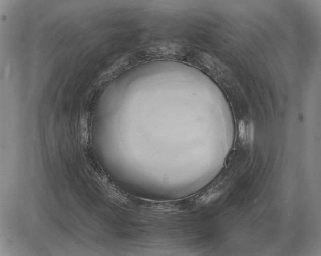 X0000083621203200702260944