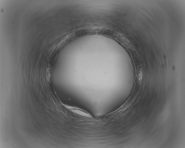 X0000083621204200702260944