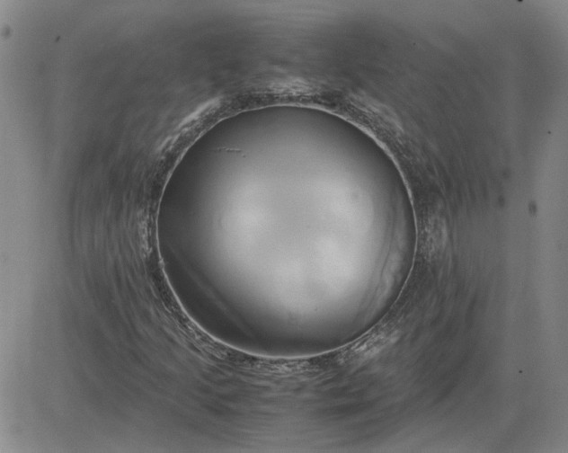 X0000083621205200702260945