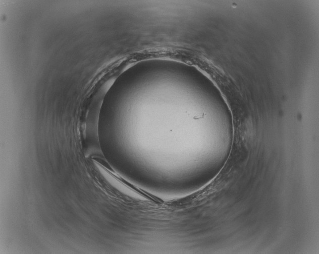 X0000083621206200702260945