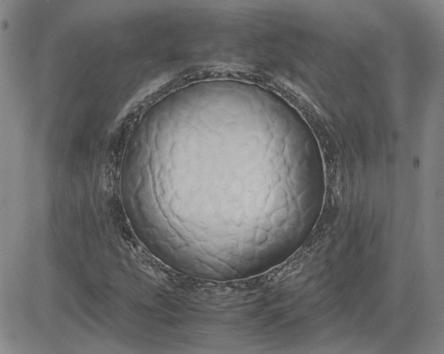 X0000083621207200702260945