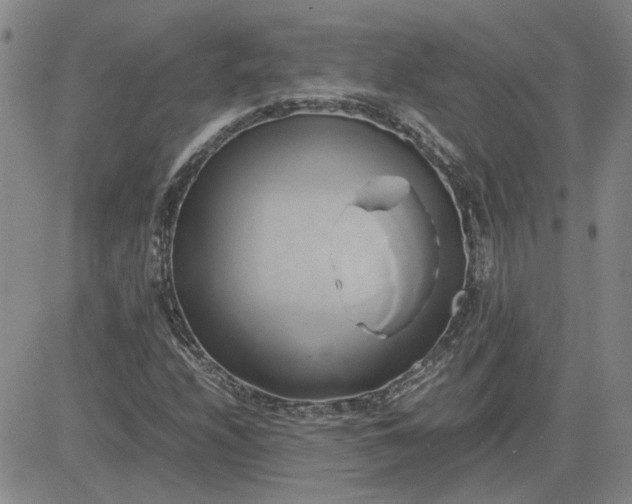 X0000083621208200702260945