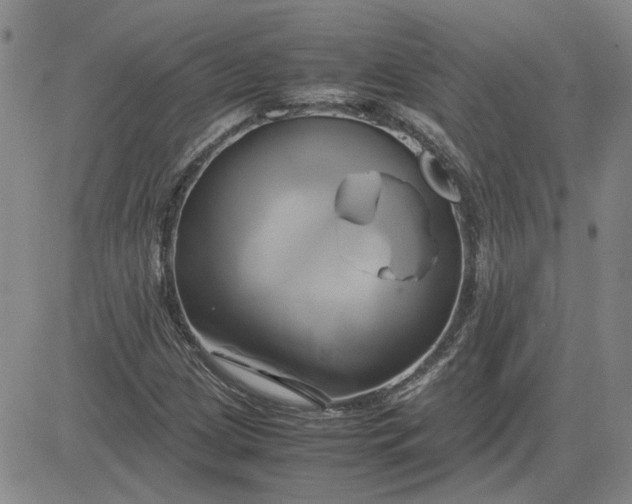 X0000083621209200702260945