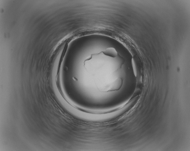 X0000083621210200702260945