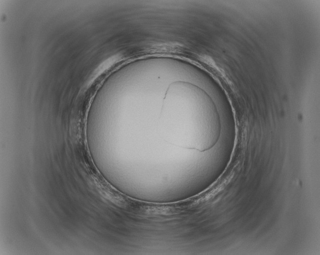 X0000083621211200702260945