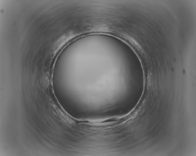 X0000083621212200702260945