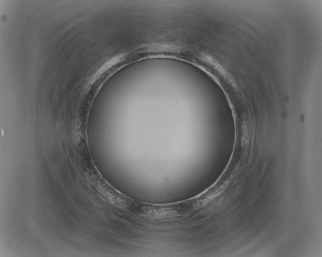 X0000083621213200702260945