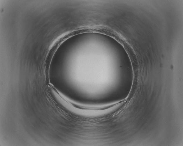 X0000083621214200702260945