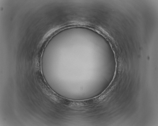 X0000083621215200702260945