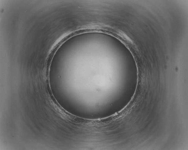 X0000083621216200702260945