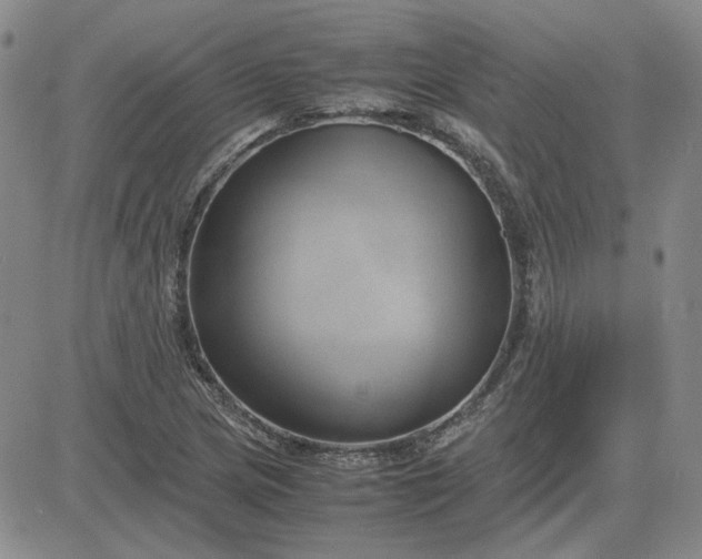 X0000083621217200702260945