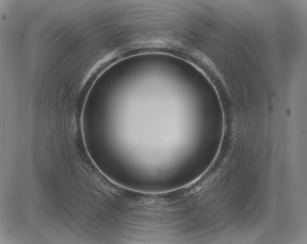 X0000083621218200702260945