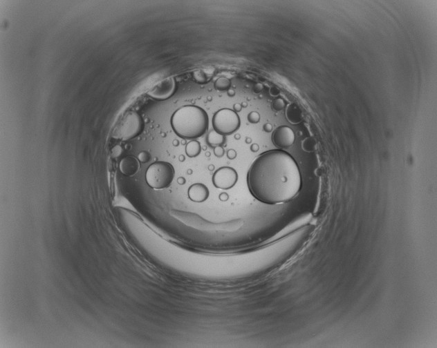 X0000083621219200702260945