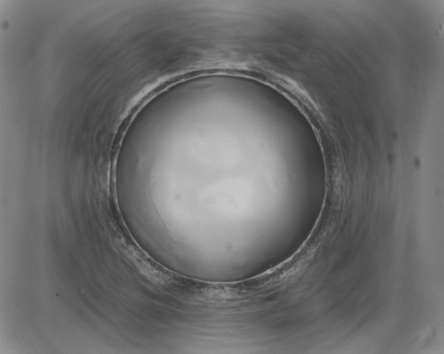 X0000083621220200702260945