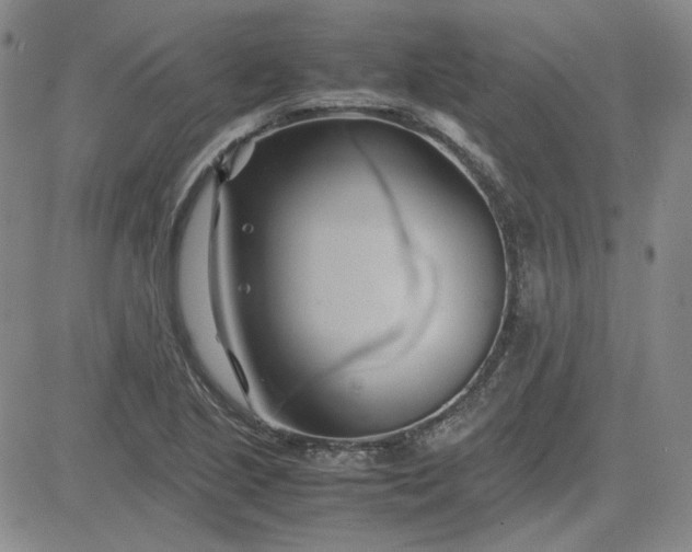 X0000083621221200702260945