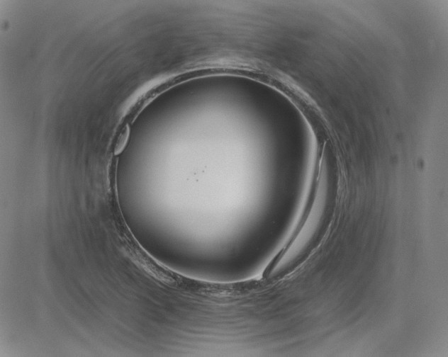 X0000083621222200702260945