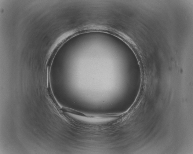 X0000083621223200702260945