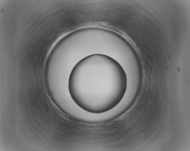 X0000083621224200702260945