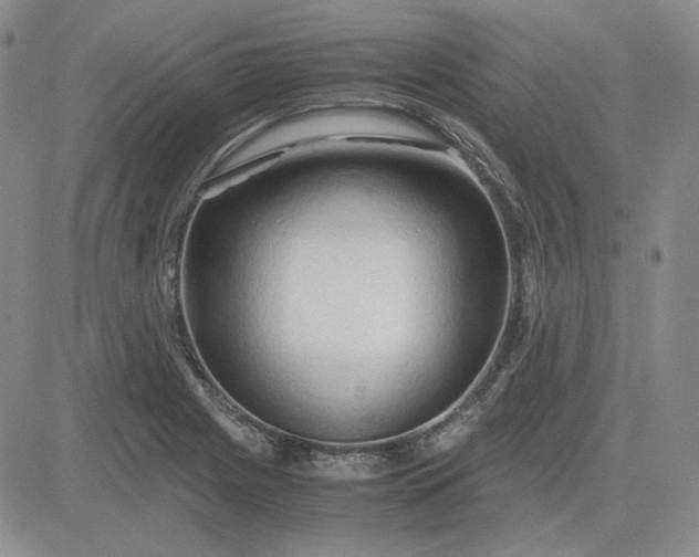 X0000083621225200702260945