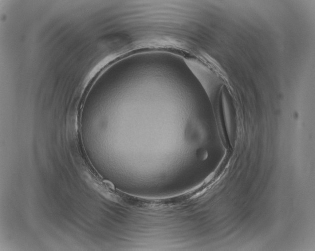 X0000083621226200702260945