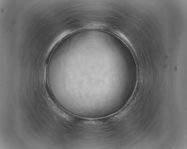 X0000083621227200702260945