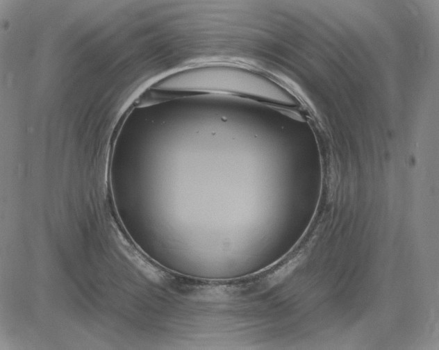 X0000083621228200702260945