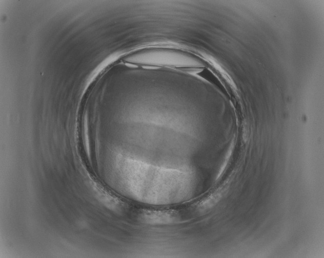 X0000083621229200702260945