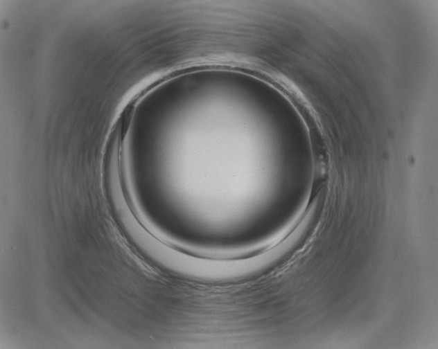 X0000083621230200702260945