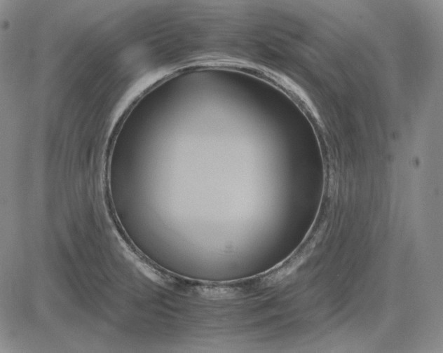 X0000083621231200702260945