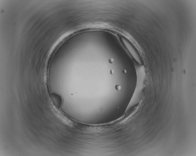 X0000083621232200702260945