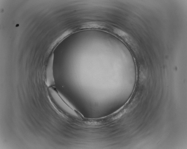 X0000083621233200702260945