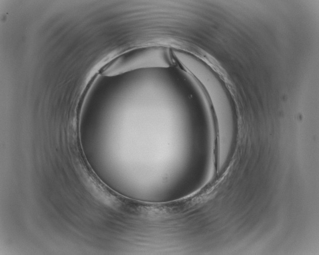 X0000083621234200702260945