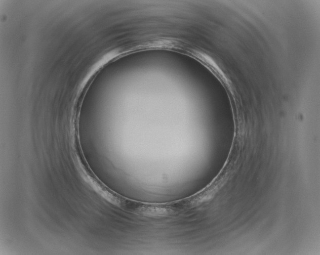 X0000083621235200702260945