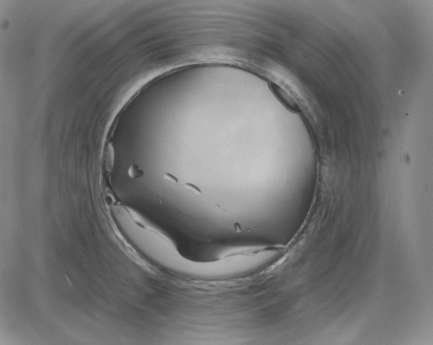 X0000083621236200702260945