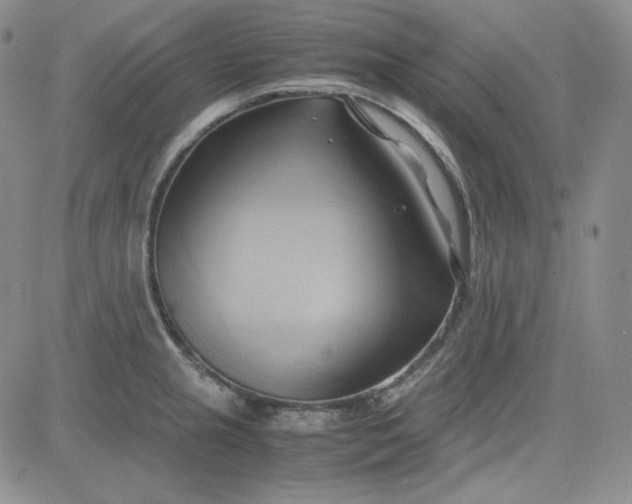 X0000083621237200702260945