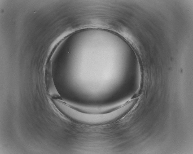 X0000083621238200702260945